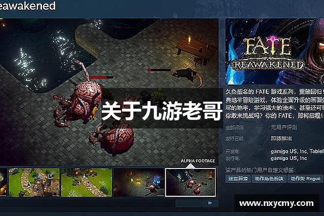 关于九游老哥